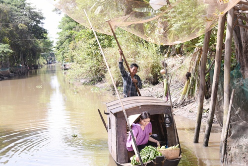 van trang bung bau lenh denh tren ghe trong "dong nho" - 5