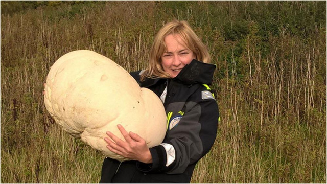  Fiona Wishart với cây nấm tròn 10.6kg tìm được. Ảnh: Falkirk Council 