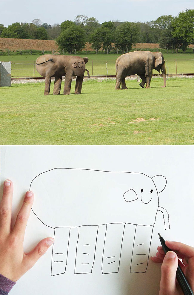 Con voi sẽ thành con vật 'quái dị' nếu nó đúng như hình ảnh của Dom vẽ
