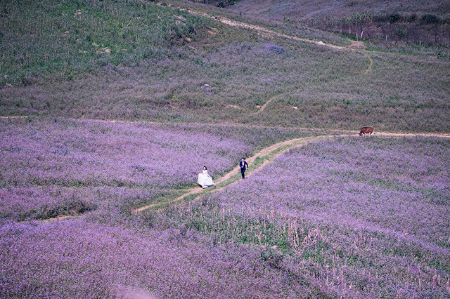 Cặp đôi Nguyễn Thị Yến Nhi (sinh năm 1990, nhân viên văn phòng) – Nguyễn Bình Minh (sinh năm 1990, kinh doanh bất động sản) vốn là bạn học chung lớp cấp 3.