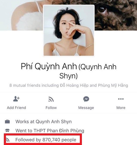 Hot teen co luong theo doi lon sau khi Facebook loc 'sub ao' hinh anh 9