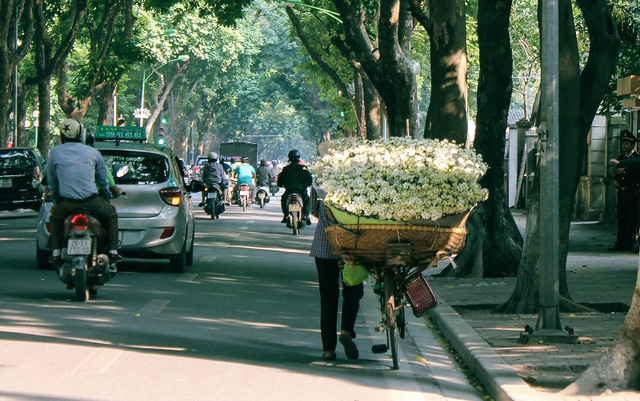 Nhiều người nhận định rằng, loại hoa làm say lòng người này thể hiện sự đơn giản mà tinh tế khiến người ngắm chúng có cảm giác an yên, hương hoa thơm thoảng dịu nhẹ mang đến sự thư giãn nên nhiều người lựa chọn hoa cắm để bàn là điều dễ hiểu.