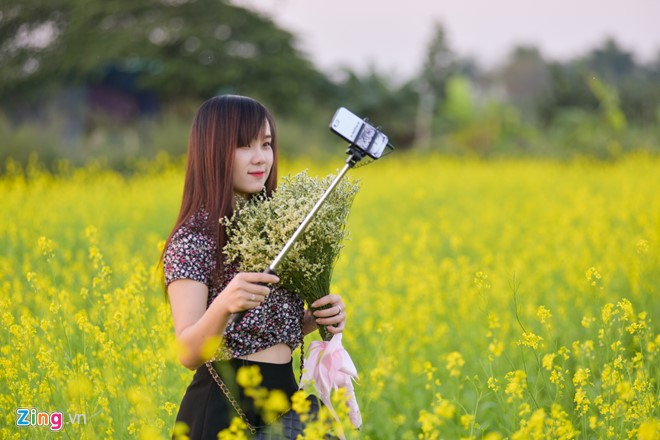 Dong hoa cai vang ben song Hong thu hut gioi tre hinh anh 5