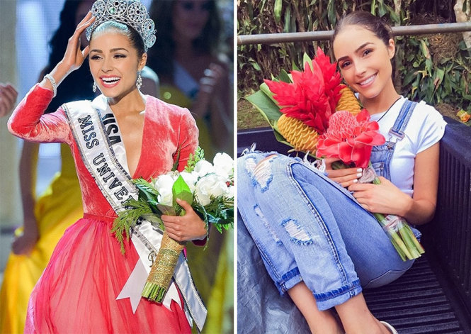 Olivia Culpo (Mỹ),Hoa hậu hoàn vũ 2012