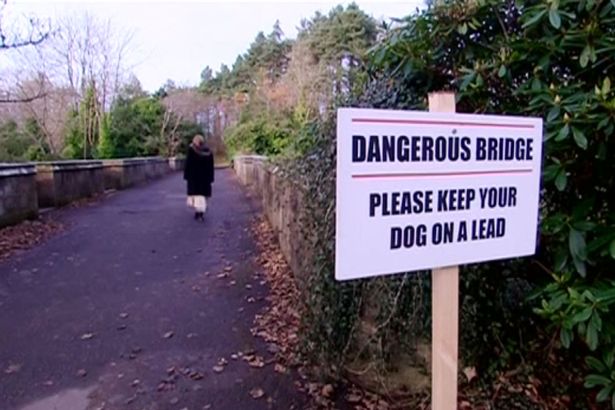 Cây cầu khiến những con chó cứ đi qua là lao xuống tự tử - Ảnh 3.