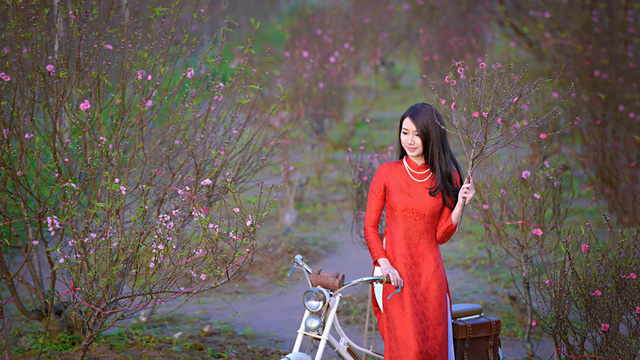  Vườn đào Nhật Tân luôn là điểm đến mùa Xuân của bạn trẻ Hà thành. (ảnh: Đinh Văn Linh) 
