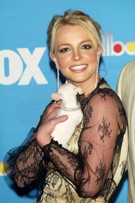 Sau khi lấy chồng, Britney Spears lại ghi điểm với gu thời trang thanh lịch