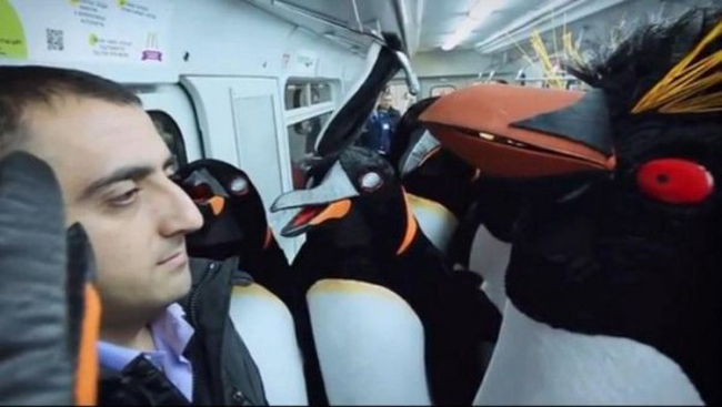 Ui, mình lạc vào chuyến tàu của các chú 'chim cánh cụt' rồi.