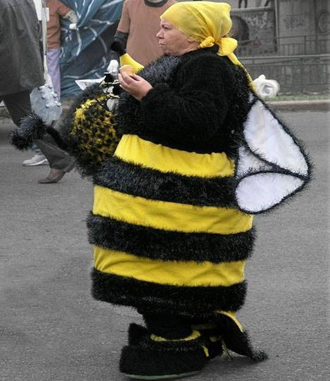 Ồ, 'bà ong' đi đâu mà có vẻ căng thẳng vậy?