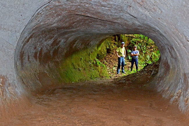 Bí ẩn hàng loạt đường hầm vừa sâu vừa dài do quái vật khổng lồ thời tiền sử tạo ra - Ảnh 1.