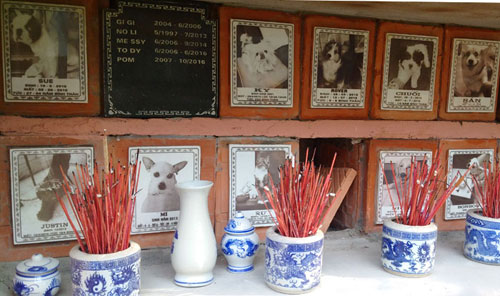 Nghĩa trang chó mèo độc nhất Hà Nội