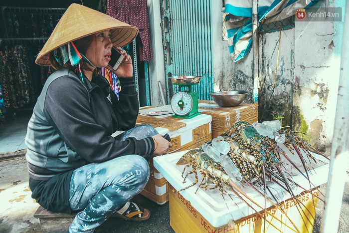 Tôm hùm giá 1,1 triệu đồng/kg từ vùng tâm bão số 12 ra phố Sài Gòn, người nuôi nghẹn ngào bán với giá rẻ - Ảnh 2.