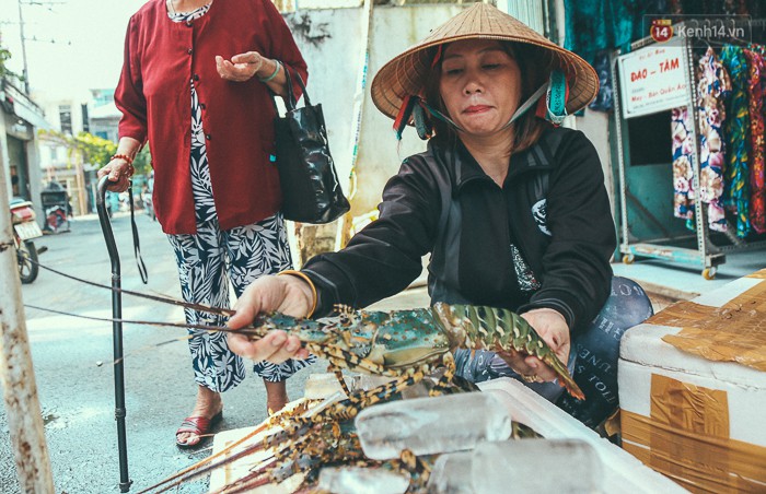 Tôm hùm giá 1,1 triệu đồng/kg từ vùng tâm bão số 12 ra phố Sài Gòn, người nuôi nghẹn ngào bán với giá rẻ - Ảnh 5.