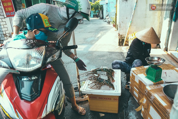 Tôm hùm giá 1,1 triệu đồng/kg từ vùng tâm bão số 12 ra phố Sài Gòn, người nuôi nghẹn ngào bán với giá rẻ - Ảnh 1.
