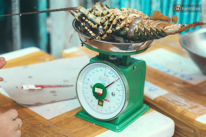 Tôm hùm giá 1,1 triệu đồng/kg từ vùng tâm bão số 12 ra phố Sài Gòn, người nuôi nghẹn ngào bán với giá rẻ - Ảnh 6.