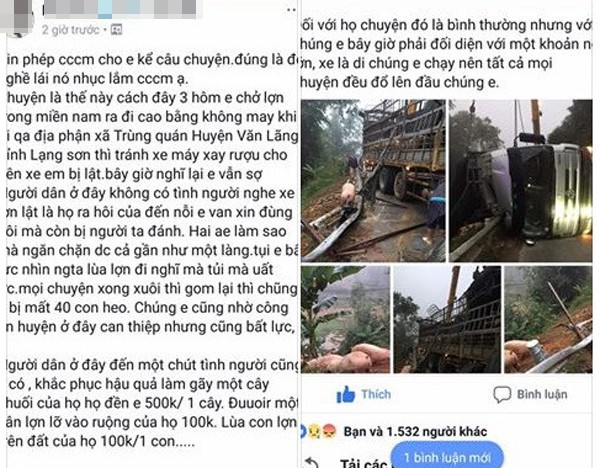 Thực hư thông tin xe chở lợn bị lật, người dân thi nhau  hôi của , tài xế van xin còn bị... đánh