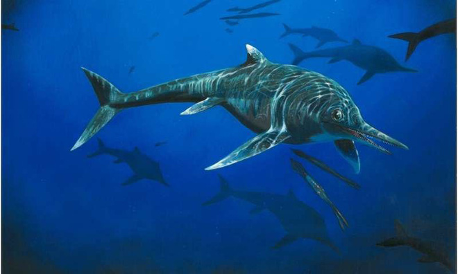 Phát hiện thêm hóa thạch  rồng biển  200 triệu năm tuổi - kẻ thống trị đại dương kỉ Jura
