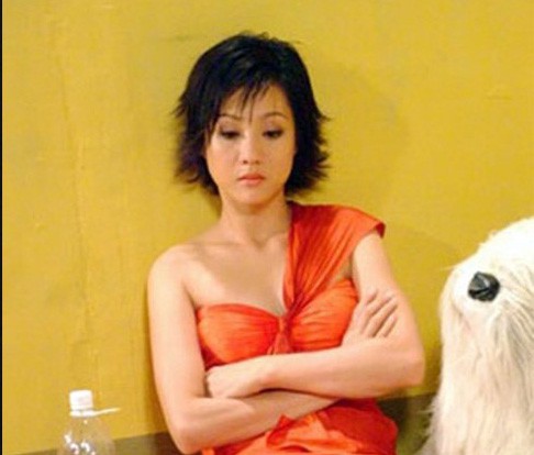 Năm 2003, Mỹ Duyên gây bất ngờ lớn với vai diễn hoàn toàn khác khi tham gia vào bộ phim Gái nhảy trong vai gái làng chơi quậy phá tên Hoa - người sau đó chết vì ma túy và AIDS.