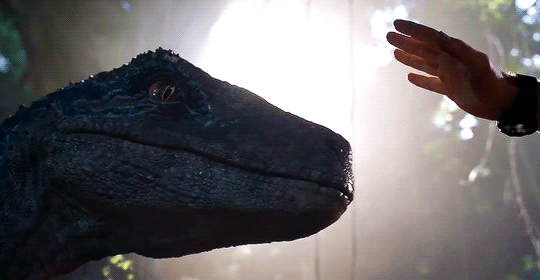 Cậy có súng, Chris Pratt suýt thành món tráng miệng của khủng long bạo chúa trong Jurassic World: Fallen Kingdom - Ảnh 5.