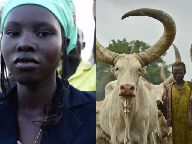 Tại Nam Sudan, 1 cô dâu = 300 con bò?!. Ảnh: AP/Human Rights Watch.
