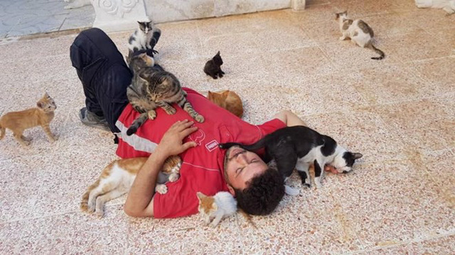 Mohammad Alaa Aljaleel bên những chú mèo mình chăm sóc. (Nguồn: Alaa and house of Cats Ernesto in Aleppo)
