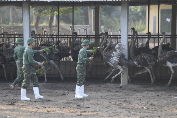 Tim hăng say tập luyện cùng các chiến sĩ khác