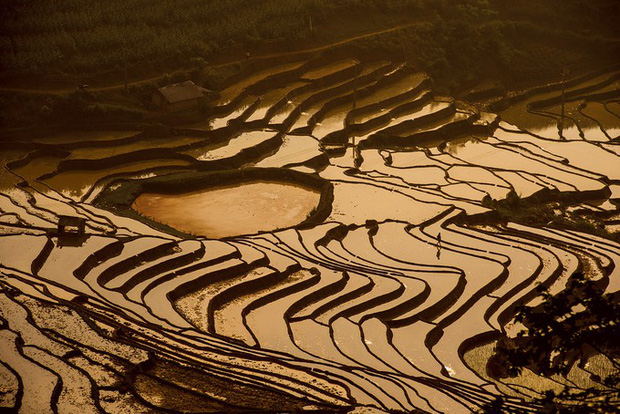 Tạp chí National Geographic công bố top 6 bức ảnh ngoạn mục nhất thế giới, tự hào thay Việt Nam có tới 2 cảnh đẹp được gọi tên - Ảnh 7.