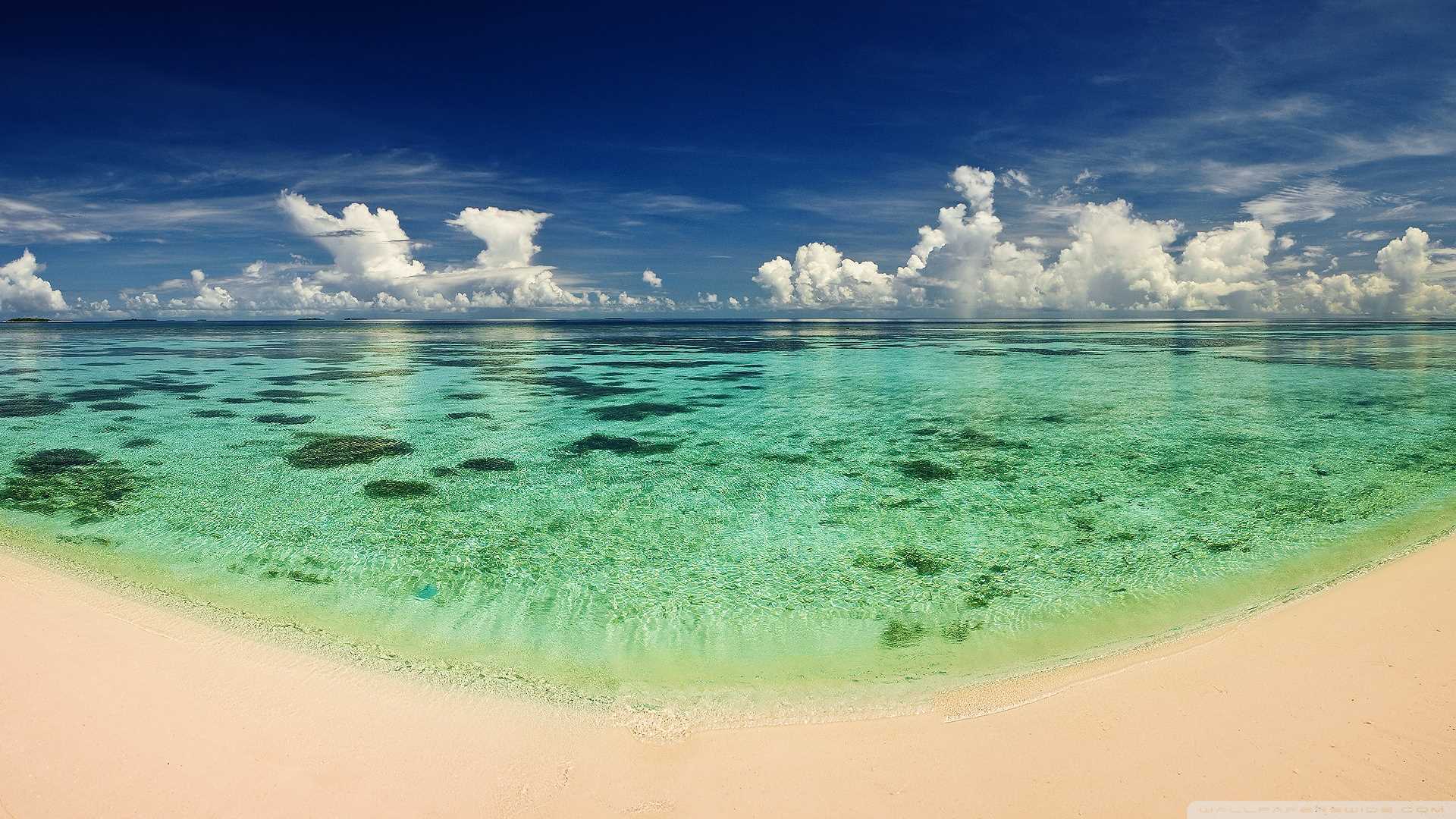 Sang Mỹ toàn chơi với người giàu, Chi Pu chụp ảnh cùng triệu phú Mỹ