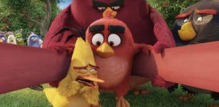 Cười đau bụng xem “Angry Birds” đua nhau tìm cách cướp lại trứng