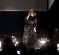 Adele trổ tài  twerk  trên sân khấu khiến fan cười bò