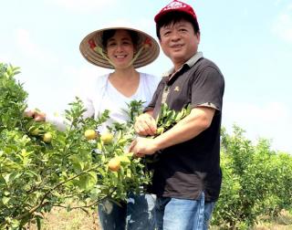 Chiều Xuân "khoe" nhà vườn đầy cây ăn quả của gia đình.