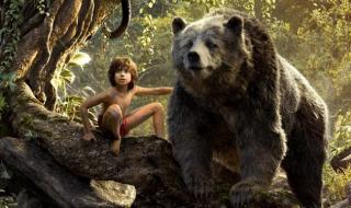 The Jungle Book -  Cặp đôi hoàn hảo  Baloo và Mowgli hay dụ ngôn về người thầy tốt