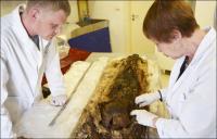 Xác ướp 800 năm tuổi được xét nghiệm để tìm người thân