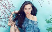 Angelababy bị cư dân mạng ném đá vì thiếu hiểu biết về mèo