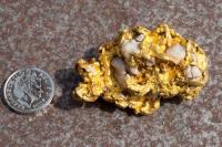 Lặn biển, tìm thấy cục vàng to bằng quả trứng
