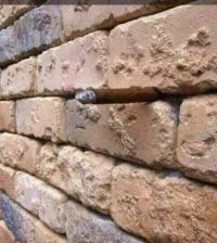 Tấm ảnh bức tường gạch “ảo giác” đánh lừa người xem