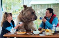 Cặp đôi nuôi dưỡng và sống chung với gấu suốt 23 năm