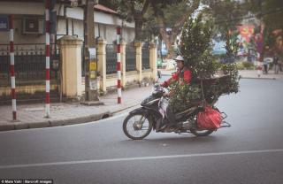 Có một Hà Nội đẹp bình dị trên báo Tây