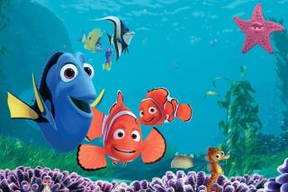 10 khám phá hay ho cần biết trước khi xem siêu phẩm  Finding Dory 