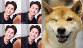 7 idol nam Kpop sở hữu  mặt cún  siêu đáng yêu