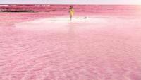 Hồ nước màu hồng đẹp như chốn thiên đường ai cũng muốn đến một lần trong đời