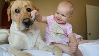 Hãy cười như lũ trẻ vui vẻ bên chó mèo