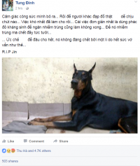 Chú chó Doberman bị đâm trên phố đã chết vì nhiễm trùng