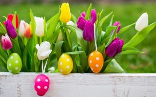 Tử vi thứ hai ngày 10/10 của các cung hoàng đạo