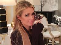 Paris Hilton khoe cún cưng 8.000 USD