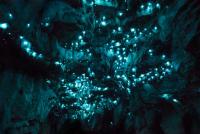 Hang động 30 triệu năm phát sáng xanh kỳ lạ