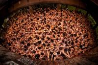 Lễ hội hàng nghìn người đàn ông  thiếu vải  ở Nhật