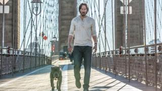 John Wick và Keanu Reeves - nhân vật chồng khít diễn viên