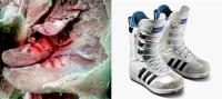 Phát hiện mới về xác ướp 1.500 tuổi  du hành thời gian  cùng giày thể thao adidas