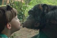 Màn hôn môi tinh tinh của cậu bé 4 tuổi  gây bão  mạng